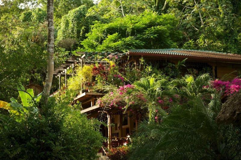Ian Andersons Caves Branch Jungle Lodge เบลโมแพน ภายนอก รูปภาพ